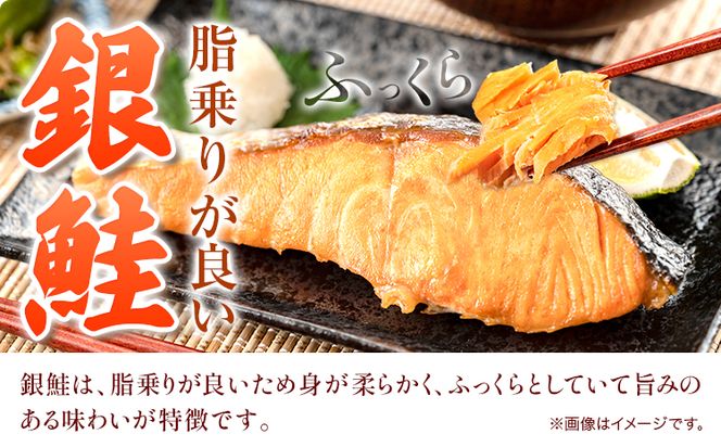 和歌山魚鶴仕込の甘口塩銀鮭切身 14切(2切×7パック) 小分け 魚鶴商店《90日以内に出荷予定(土日祝除く)》和歌山県 日高町 甘口塩銀鮭 銀鮭 鮭 さけ 切り身---wsh_fhuo4_90d_25_18000_7p---