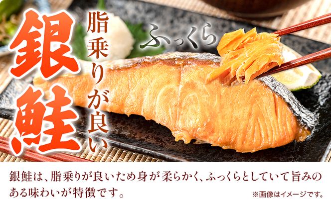 和歌山魚鶴仕込の甘口塩銀鮭切身 30切(2切×15パック) 小分け 魚鶴商店《90日以内に出荷予定(土日祝除く)》和歌山県 日高町 甘口塩銀鮭 銀鮭 鮭 さけ 切り身---wsh_fhuo5_90d_23_22000_15p---