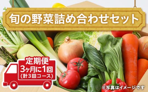 田舎の頑固おやじ厳選！【定期便】旬の野菜詰め合わせセット3ヶ月に1回(計3回コース) [BI02-NT]