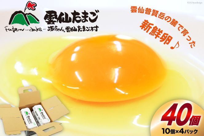 y茧szBI024 _傽܂LTCY  40 (10×4pbN) (37{⏞3) [  ܂  { ԗ ʎq VN ˂_傽܂ 茧 s ]