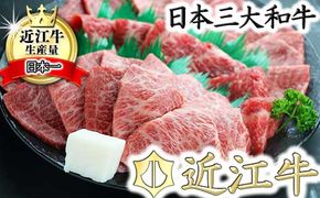 職人厳選 近江牛 希少部位焼肉用【700g】【CO02U】