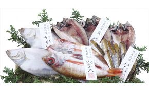 甘鯛 のどぐろ レンコ鯛 エテカレイ 小伊津海旬房 出雲の風 満福【2_2-005】