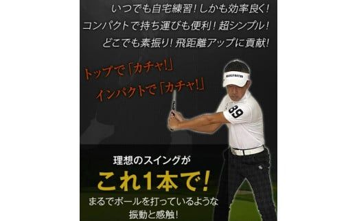 027BF01N.「匠・スイングマスター」