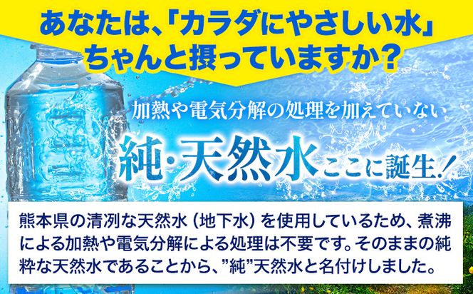 【6ヶ月定期便】熊本イオン純天然水 ラベルレス 2L×10本 《申込み翌月から発送》2l 水 飲料水 ナチュラルミネラルウォーター 熊本県 玉名郡 玉東町 完全国産 天然水 くまモン パッケージ---gkt_gfrst10tei_24_23000_mo6_n---