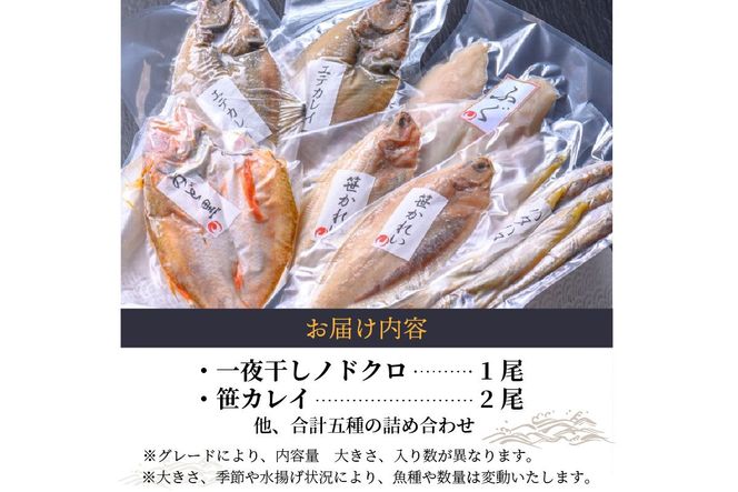 のどくろ、笹カレイ入り　一夜干し詰め合わせ　ゴールド　UO00149