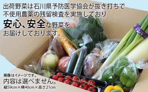 JA小松市 季節の野菜詰合せ 009044