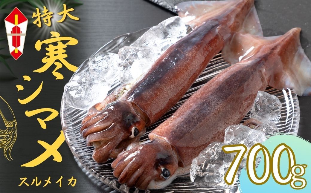 [のし付き]今が旬!朝どれ寒シマメ特大サイズ(350-400g)丸ごと2杯セット