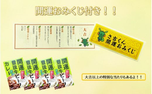 開運！豊後牛ビーフカレー200g×4箱_2425R