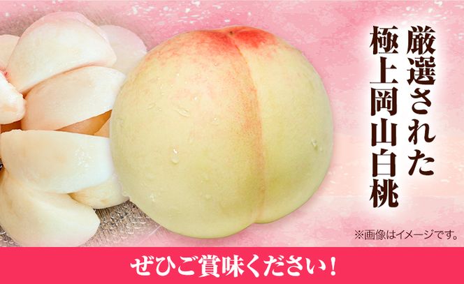 岡山県産 白桃（1玉220g以上8玉入りロイヤル）令和7年産先行受付《7月上旬-8月中旬頃出荷》【配送不可地域あり】---H-25a---