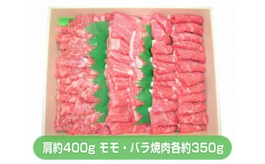 yQnszBEEoē ANP002