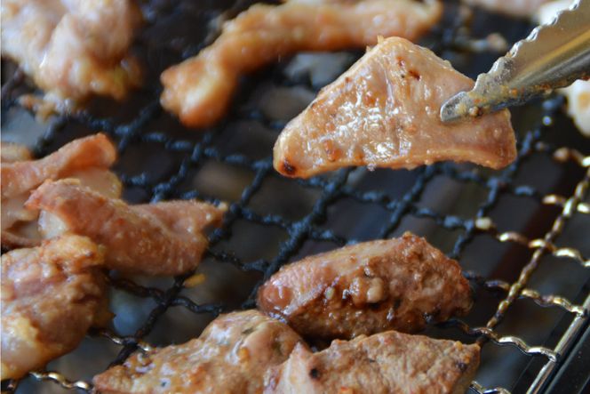 気仙沼ホルモン みそ味 300g×5 [からくわ精肉店 宮城県 気仙沼市 20563498] 豚 ホルモン焼き 味付け 味噌 冷凍 焼肉 