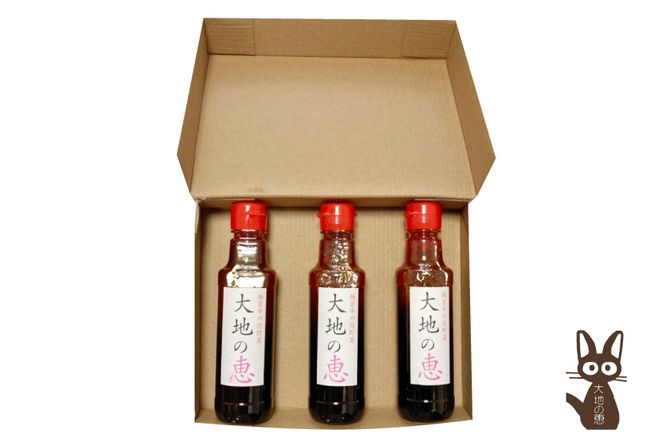 にんにくドレッシング 「大地の恵」 中辛 200ml×3本 [矢口農園 長野県 池田町 48110488] 