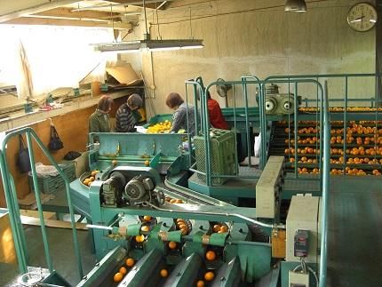 ya̎RLc쒬zLc݂ 5kg 2STCY ZT[gp x    CM01