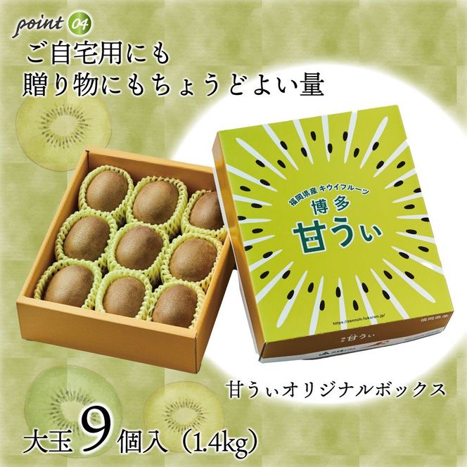 【ギフト】キウイフルーツ「博多甘うぃ」約1.4kg化粧箱入り【ほたるの里】_HA0943