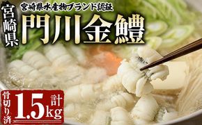 門川金鱧(計1.5kg)骨切り済 ハモ 小分け 冷凍 魚介類 鍋 丼 国産 宮崎県 門川町【O-1】【門川漁業協同組合】