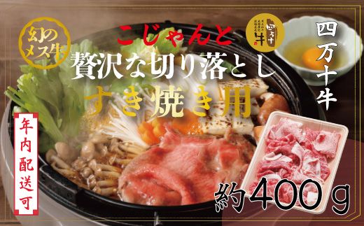 yml\szyNzz̃X l\ ґ ؂藎Ƃ Ă 400g Y m ܂ l\ q꒼   јa   Ⓚ [X [XXCX o Ԃ  J r[t 25-529N