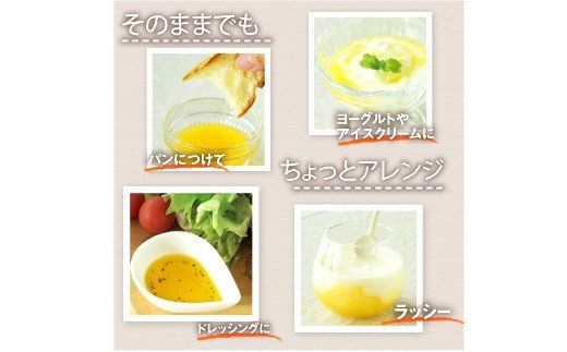 500.伊藤農園の日々みかん酢８本入りセット(A500-2)