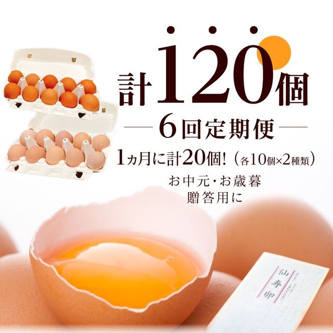 【6ヶ月定期便】名古屋コーチン卵・仙寿卵お試しセット（各10個入り）×6回（計各60個） [006K04-T]