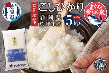 b10-055　定期便10回 マグロに合う焼津のお米 こしひかり 5kg