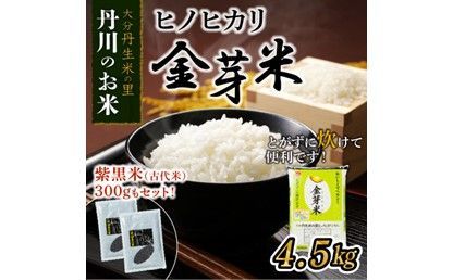 【B01013】ヒノヒカリ金芽米4.5kgと紫黒米（古代米）300g