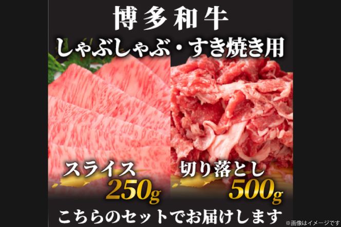 訳あり 博多和牛 A4以上 しゃぶしゃぶ すき焼き スライス 250g & 切り落とし 500g 計750g【部位おまかせ】/ MEAT PLUS / 福岡県 筑紫野市 [21760211] 牛肉 和牛 黒毛和牛 冷凍