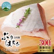 〈数量限定〉日向灘ぶり　はまち　うまみ極点製法　食べきりパック　300g　N124-YZA3304