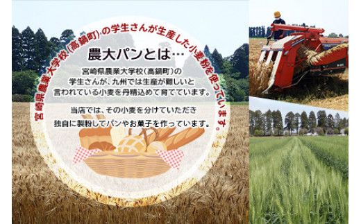 ＜YASUKICHIベーグル(農大パン)7種類20ケ入＞翌月末迄に順次出荷【c443_sk_x2】