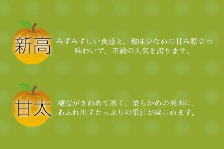 『さかもと果樹園』の玉東梨 約3kg 3玉-10玉前後 《8月上旬-10月上旬頃出荷》熊本県玉名郡玉東町 梨 なし 果物 フルーツ 旬の梨---sg_csakanasi_ad810_24_12000_3kg---