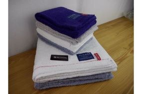 050F001 日本の佇まい麻の実・扇亀甲タオルセット 10枚【泉州タオル 国産 吸水 普段使い シンプル 日用品】