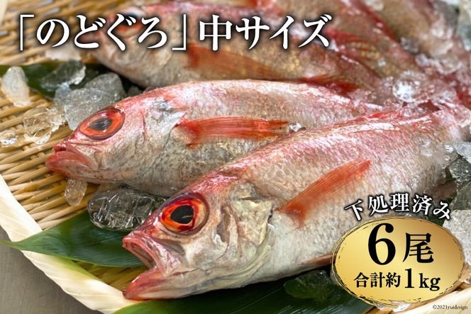 CF091「のどぐろ」中サイズ（160～180g） 6尾　＜煮付け・塩焼き用＞