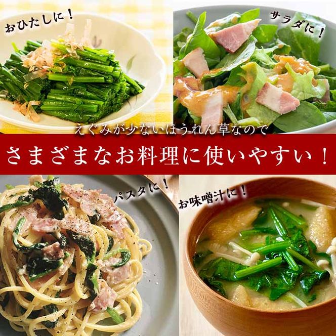 【数量限定】志布志湾ほうれん草(200g×5袋 合計1kg) a1-032