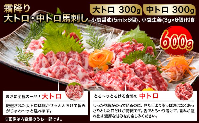 大トロ中トロ馬刺し盛り 600g 株式会社KAM Brewing《30日以内に出荷予定(土日祝除く)》馬刺し 熊本 大津町 大トロ 中トロ 食べ比べ 馬肉 霜降り---so_fkamottt_30d_24_70000_600g---