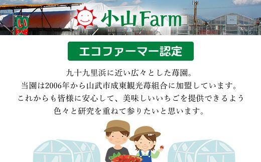 【希少品種】いちごとメロンのアイス 食べ比べ5個セット SMAN013