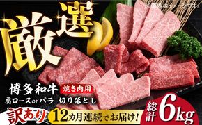 【全12回定期便】【訳あり】博多和牛 焼肉 切り落とし 500g《築上町》【MEAT PLUS】肉 お肉 牛肉[ABBP153]