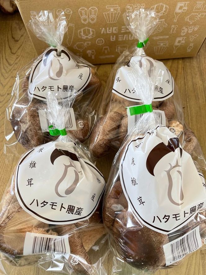 【一週間以内に発送】生しいたけ　肉厚シイタケ　無農薬　菌床栽培　200gX4(袋)【ハタモト農産】_HA1006