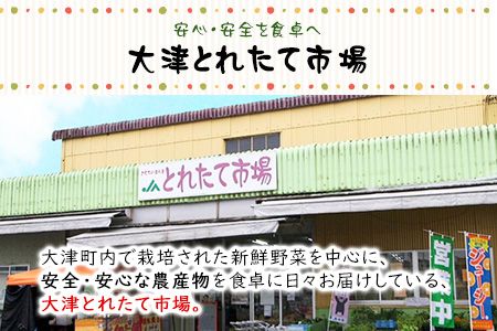 熊本県大津町産 季節の野菜セット(6～8種類)《60日以内に出荷予定(土日祝除く)》野菜 冷蔵 JA菊池 大津中央支所 とれたて市場---so_cozuyasai_60d_20_13500_8i---