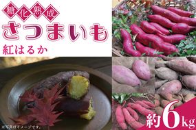糖化熟成 さつまいも (紅はるか) 約 6kg｜栃木県 益子町 ふるさと納税 里山 熟成 さつまいも 紅はるか プレミアム 蜜芋 (AU001-2)