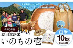 令和5年産 特別栽培米 いのちの壱(白米) 10kg(5kg×2袋) 雑穀米付き《90日以内に出荷予定(土日祝を除く)》 熊本県 南阿蘇村 熊本県産 虹色のかば 白米 雑穀米---sms_nnktmiih5_90d_22_25000_5kg2p---