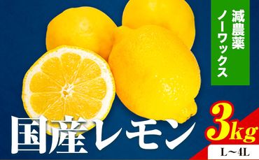 国産 レモン 約 3kg (L～4Lサイズ) ノーワックス 減農薬  どの坂果樹園《2024年2月上旬-5月末頃より順次出荷》 和歌山県 日高川町 レモン れもん 檸檬 果物 フルーツ 旬 柑橘 フルーツ 果物 送料無料---wshg_247_ac25_23_10000_3kg---