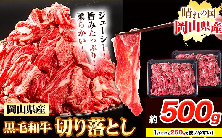 牛肉 黒毛和牛 切り落とし 500g[30日以内に出荷予定(土日祝除く)] 岡山県 浅口市 牛 牛肉 和牛 牛丼 カレー 小分け 小分けパック 250g 送料無料 ---124_f654_30d_24_9000_5---