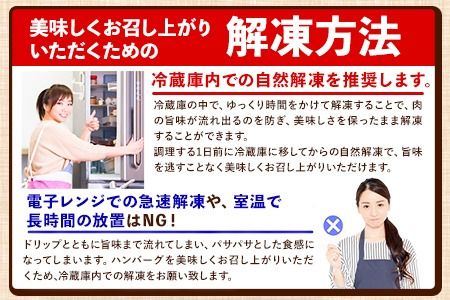 ステーキマニア監修 熊本県産あか牛100%生ハンバーグ 140g×13個入り合計1820g 1.82kg以上《2026年1月中旬-3月末頃出荷》熊本県産あか牛 バイキングベーカリー 冷凍 ---hkw_faknham_bc13_r7_14000_1820g---