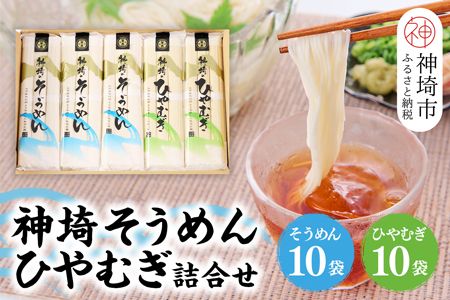 yꌧ_sz_邻߂(240g×10)E_Ђނl(240g×10) y߂  l ߂l Ђނl _ B  Mtg p Yiz(H020102)