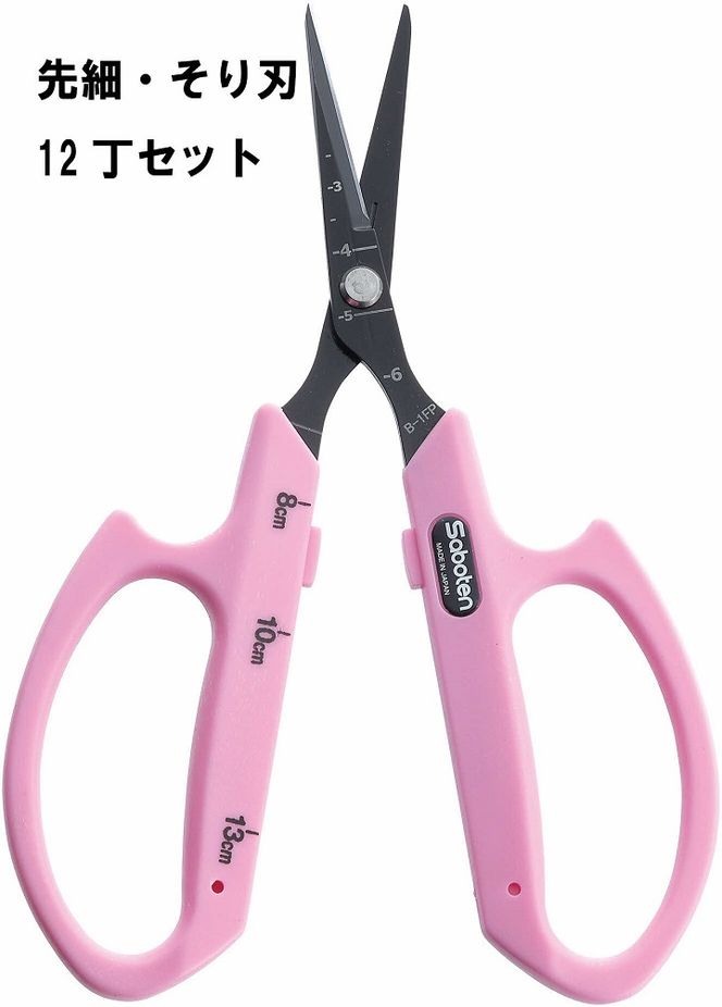 yɌO؎szN-51 Ԃǂׂn12Zbg