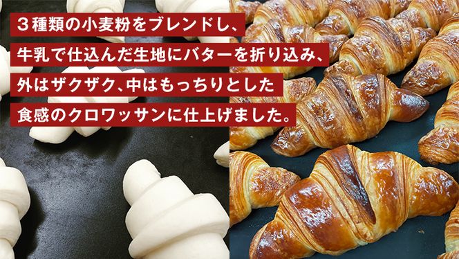 バゲット2本 ＆ クロワッサン2個 セット 【北海道産 石臼挽き粉 使用】 パン 朝ごはん 朝食 おやつ ブレッド バゲット フランスパン クロワッサン [BR09-NT]