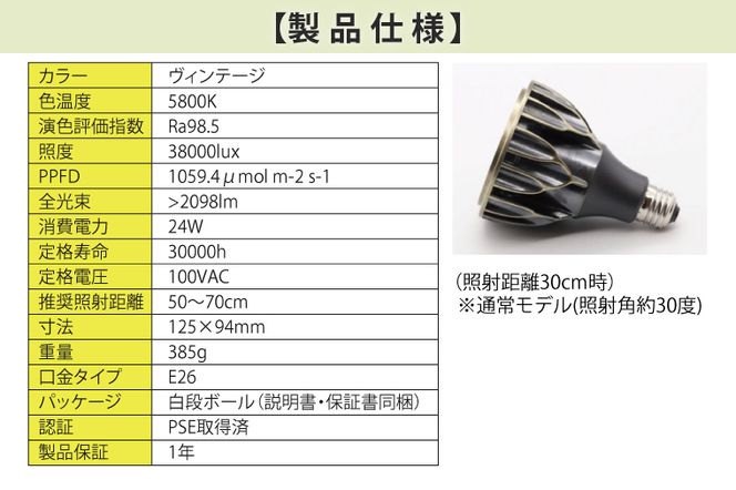 BN012-1　お部屋の癒し　観葉植物「アガベ（小島白刺）」と植物育成ライト「ヘリオスグリーンLED（ヴィンテージ）」の2点セット