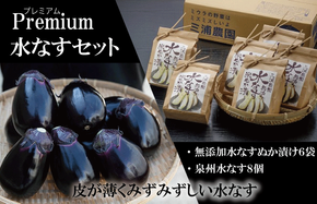 020C066 Premium水なすセット【新鮮 野菜 泉佐野産 茄子 やさい 高評価 数量限定】