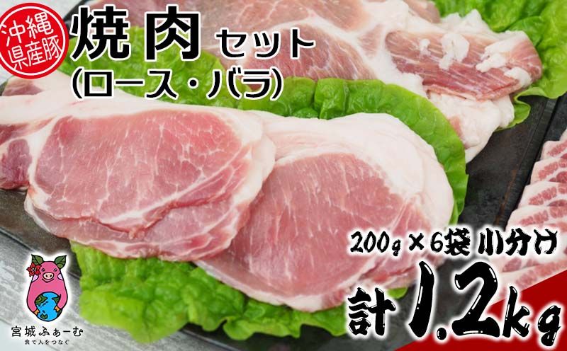 沖縄県産豚肉 焼肉セット(ロース・バラ)計1.2kg 200g×6袋 小分け