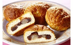 季節のあんぱん詰め合わせ - 各種２個入 ５袋 合計10個 多種 あんぱん詰め合わせ 季節のあんぱん 旬の味覚 何が入っているかお楽しみ 熊本県 甲佐町