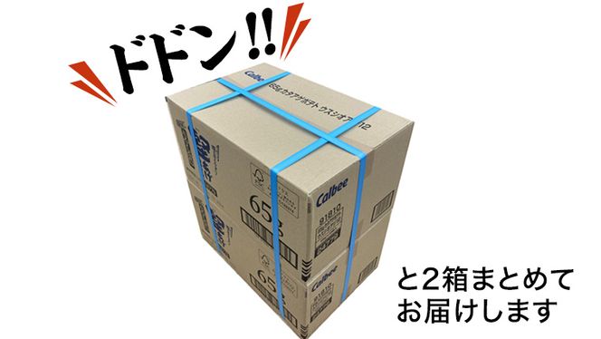 カルビー 堅あげポテト うすしお味 24袋 ( 2ケース ) 65g ポテチ お菓子 おかし 大量 スナック おつまみ ジャガイモ じゃがいも まとめ買い 数量限定 [DA015us]