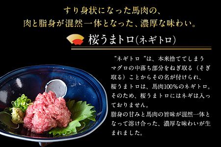 赤身ユッケ桜うまトロセット 計1kg 1000g ユッケ 桜うまトロ(ネギトロ) 千興ファーム 馬肉 冷凍 《60日以内に出荷予定(土日祝除く)》 新鮮 さばきたて 真空パック 肉 熊本県御船町 馬刺し おつまみ---mifune_snk_26_1kg---